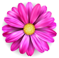 Flower4 Flower4